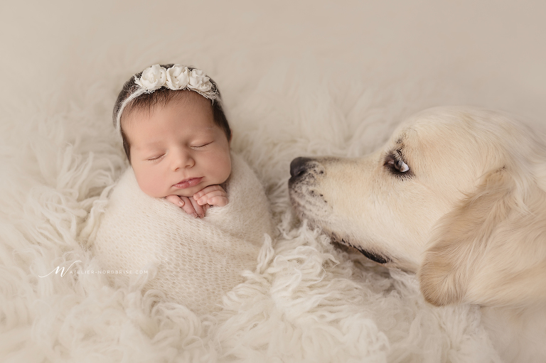 Neugeborenenshooting in Persenbeug | Atelier nordbrise Fotografie | Natürliche einzigartige Babyfotos im Raum Melk | Neugeborenenfotograf Babyfotograf