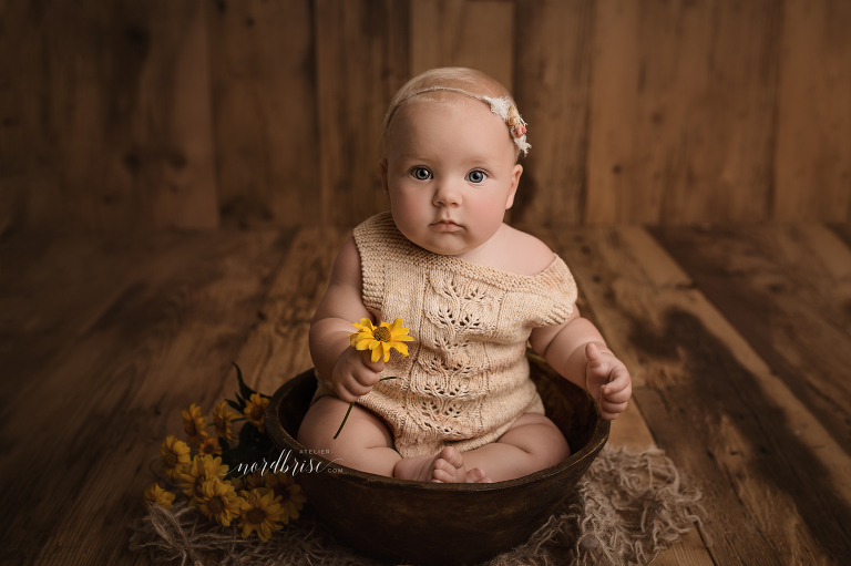 Meilenstein Babyshooting in Nöchling | Atelier nordbrise Fotografie | Natürliche einzigartige Babyfotos im Raum Melk | Neugeborenenfotograf Babyfotograf Familienfotograf Sitzkind