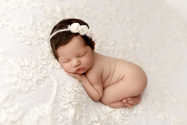 Neugeborenenshooting in Nöchling | Atelier nordbrise Fotografie | Natürliche einzigartige Babyfotos im Raum Melk | Neugeborenenfotograf Babyfotograf Familienfotograf Babyfotografie Neugeborenenfotografie