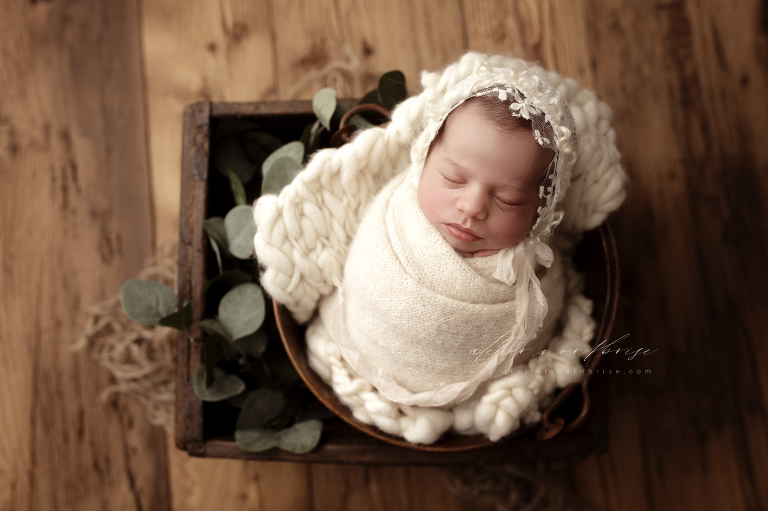 Neugeborenenshooting in Nöchling im wunderschönen Niederösterreich | Atelier nordbrise Fotografie | Natürliche einzigartige Babyfotos im Raum Melk | Neugeborenenfotograf Babyfotograf Familienfotograf Babyfotografie Neugeborenenfotografie